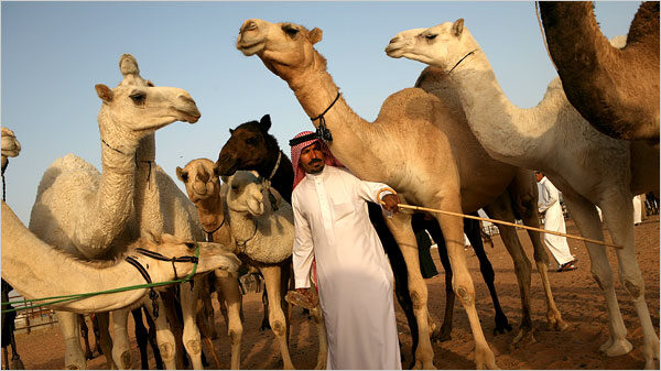 saudi_pillars_1-9061149