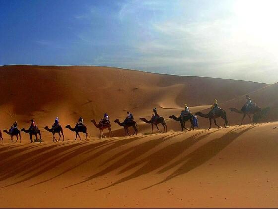 sahara_tunisia-6951012